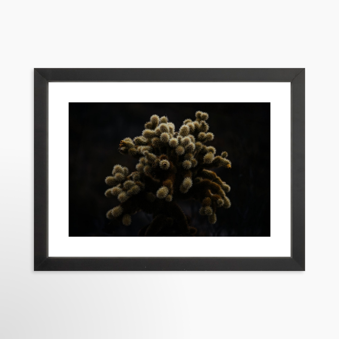 II - 12x8 / Black / Matted