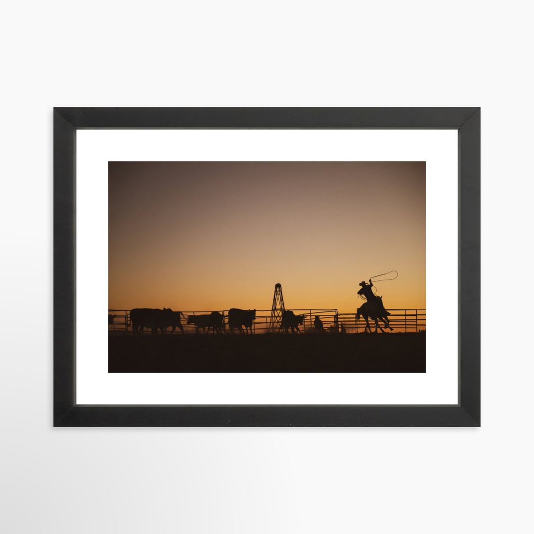 II - 12x8 / Black / Matted