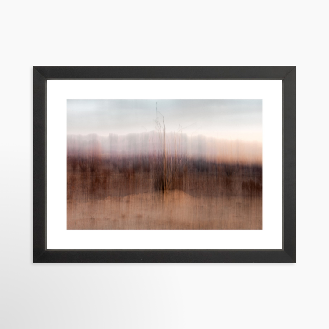 II - 12x8 / Black / Matted