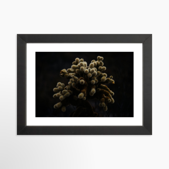 I - 9x6 / Black / Matted