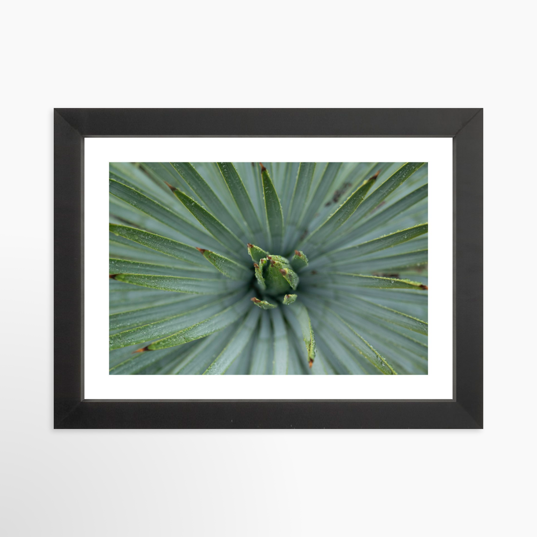 I - 9x6 / Black / Matted