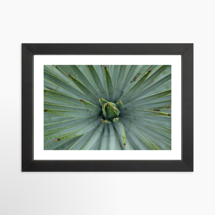 I - 9x6 / Black / Matted