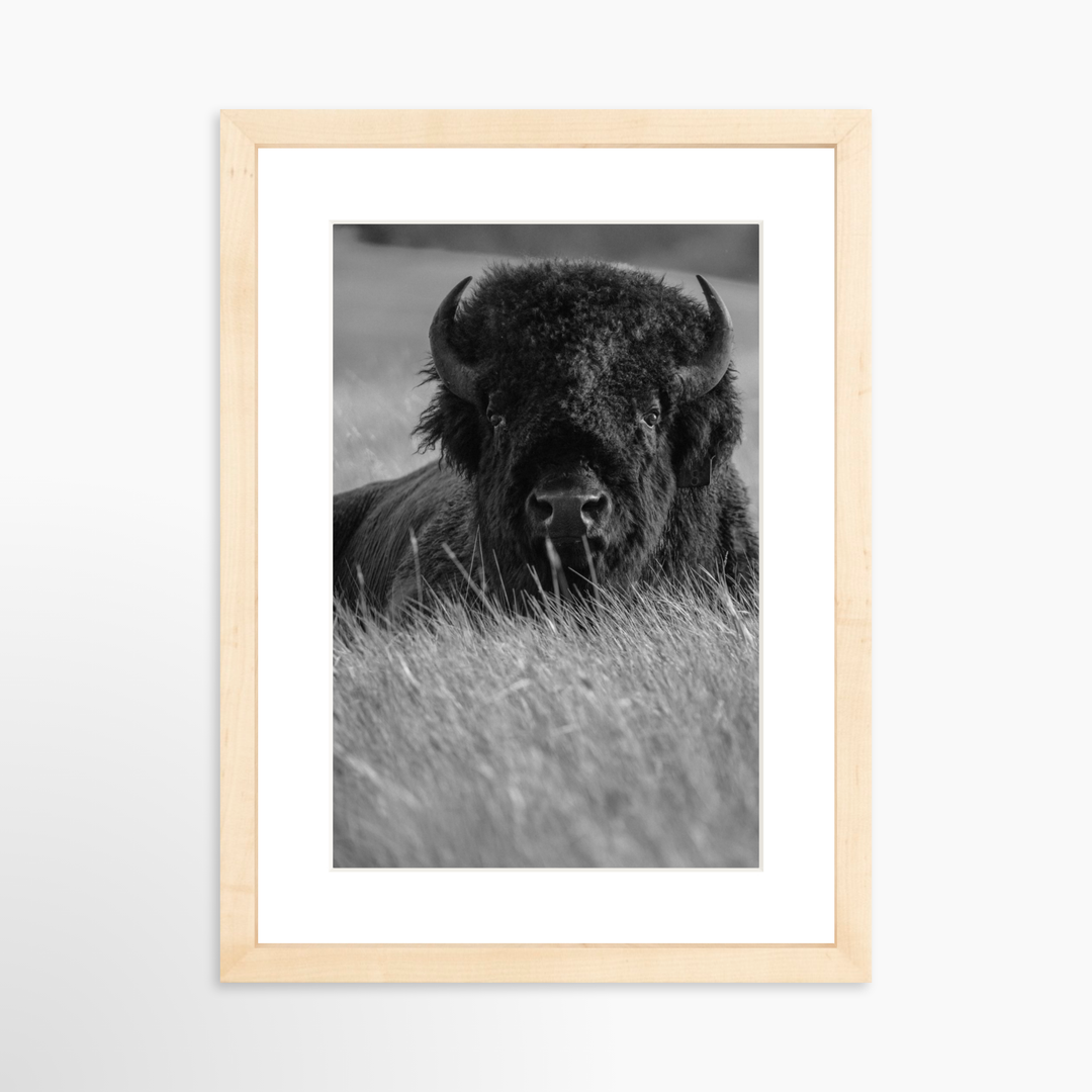 II - 8x12 / Natural / Matted