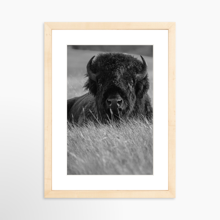 II - 8x12 / Natural / Matted