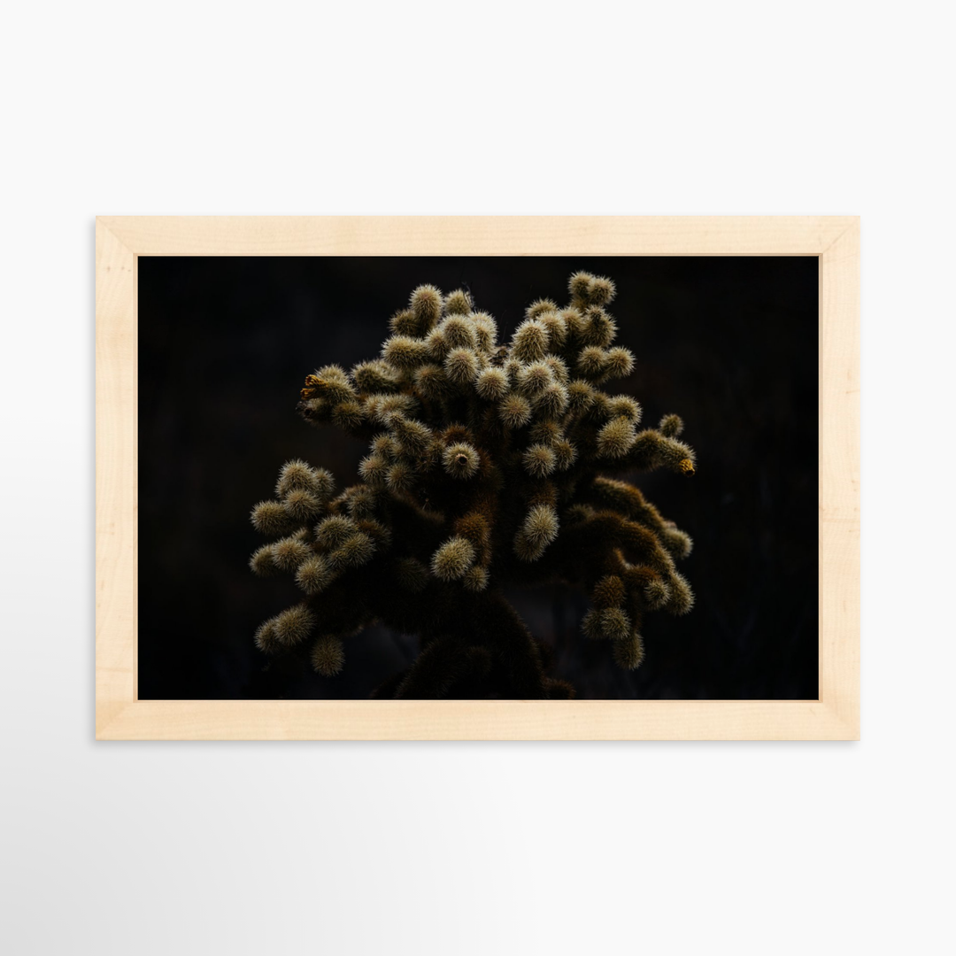 II - 12x8 / Natural / Full Bleed