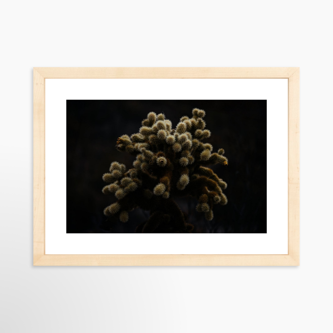 II - 12x8 / Natural / Matted