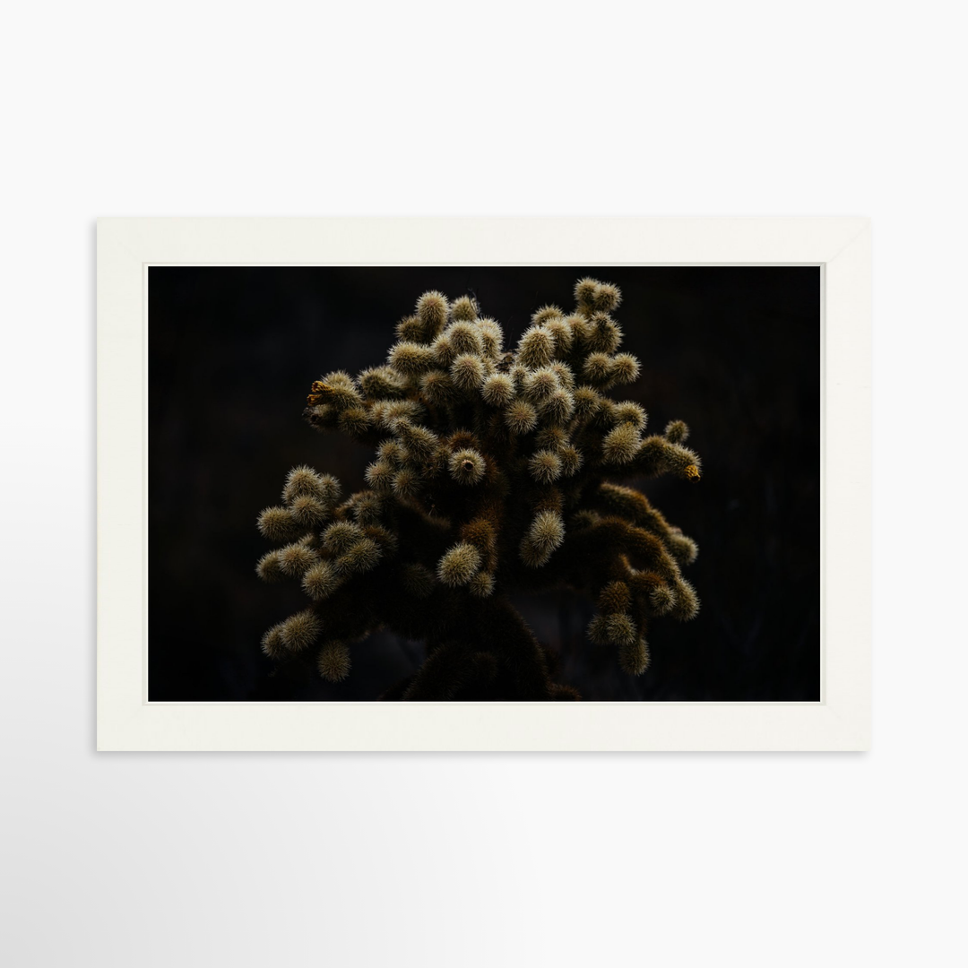 II - 12x8 / White / Full Bleed