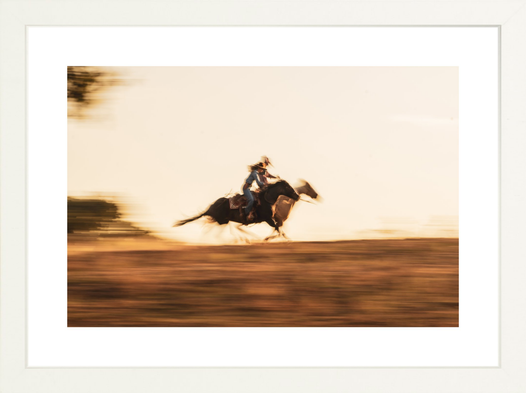 II - 12x8 / White / Matted