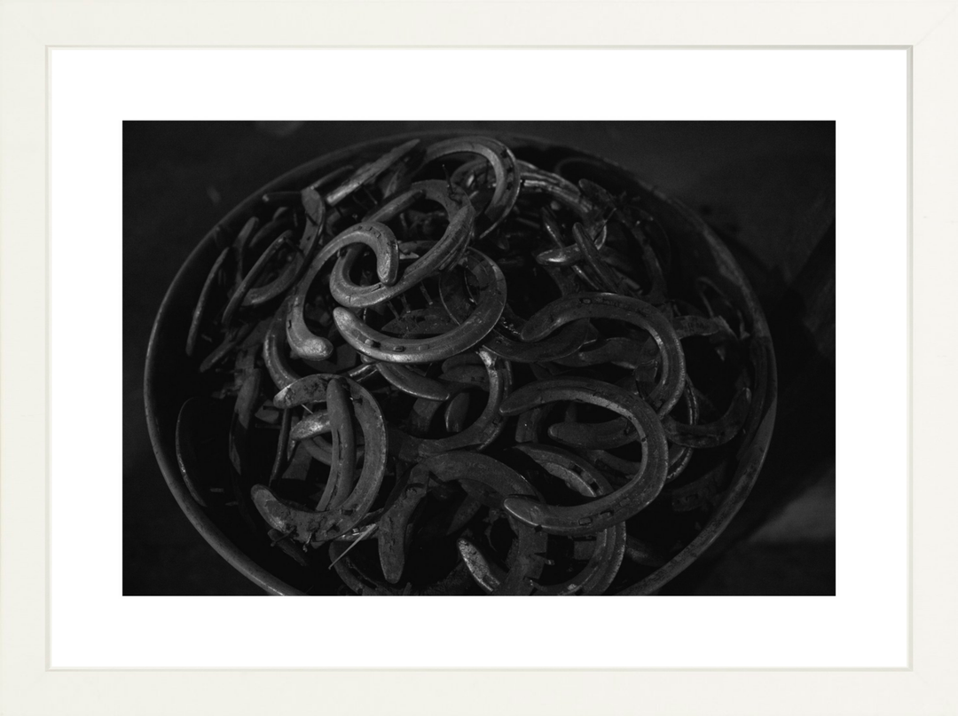 II - 12x8 / White / Matted