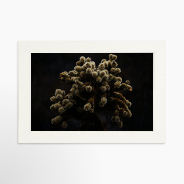 I - 9x6 / White / Full Bleed