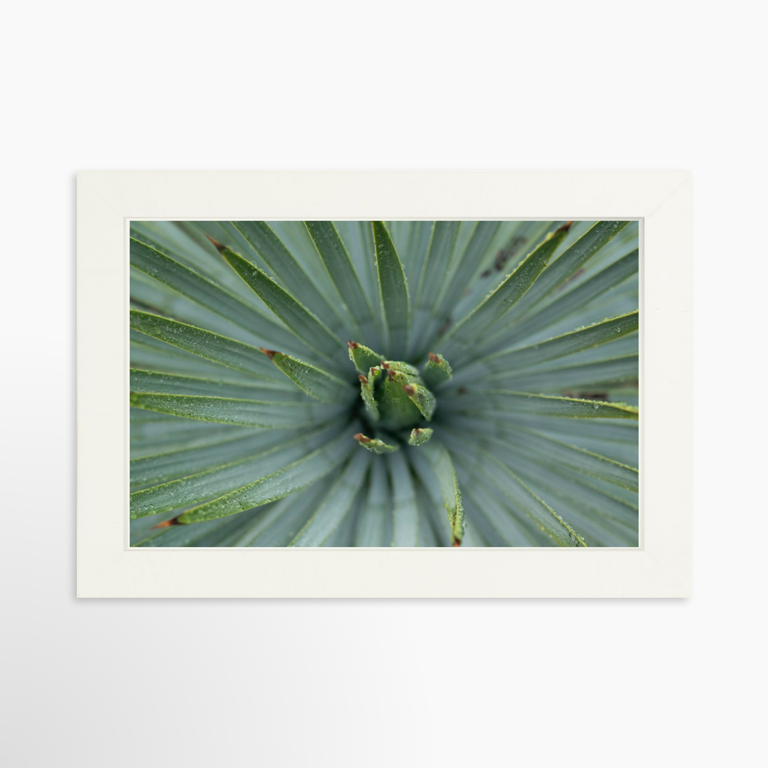 I - 9x6 / White / Full Bleed