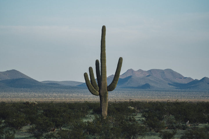 Desert Hand