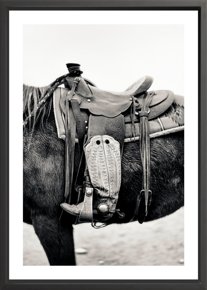 Silent Companion