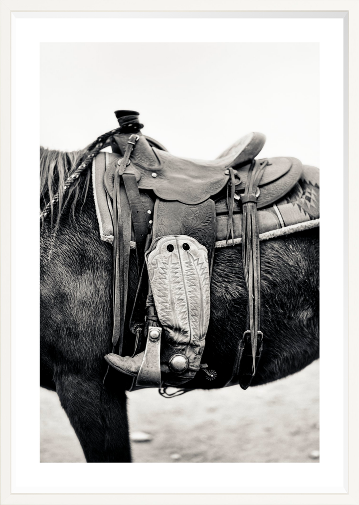 Silent Companion