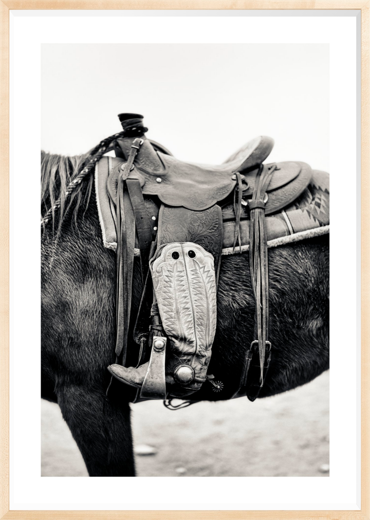 Silent Companion