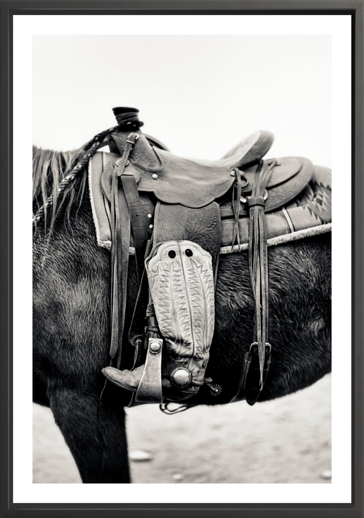 Silent Companion