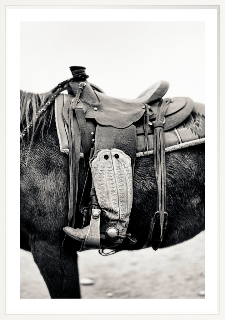 Silent Companion