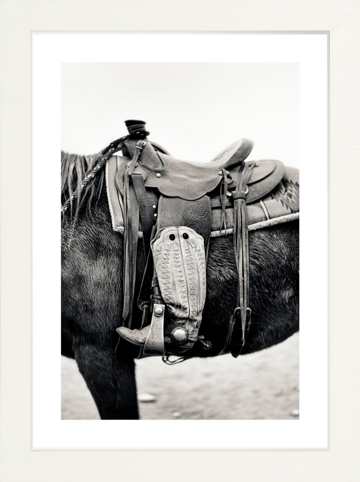 Silent Companion