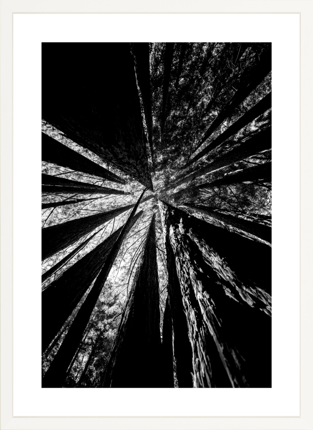 Reaching Giants