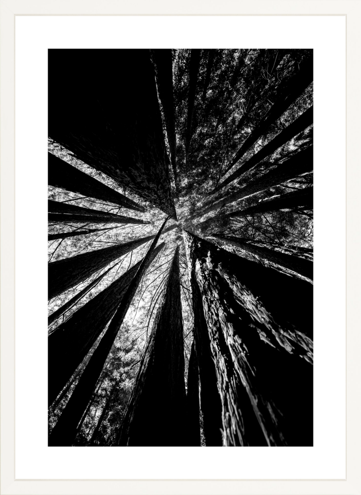Reaching Giants