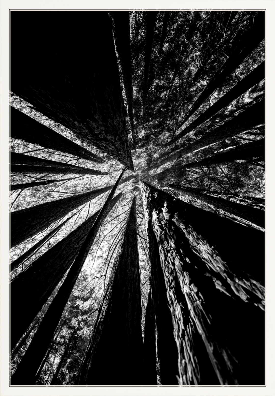 Reaching Giants