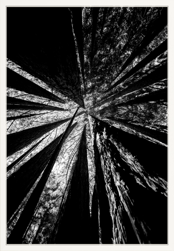 Reaching Giants