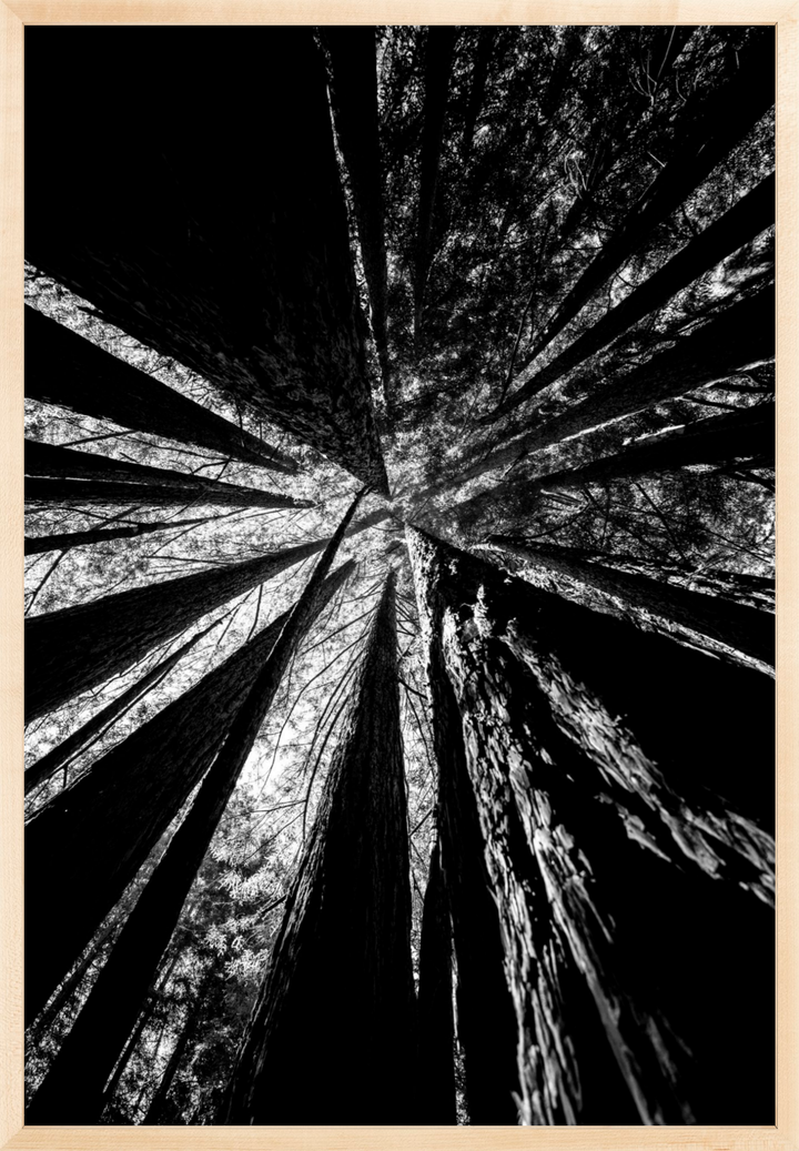 Reaching Giants