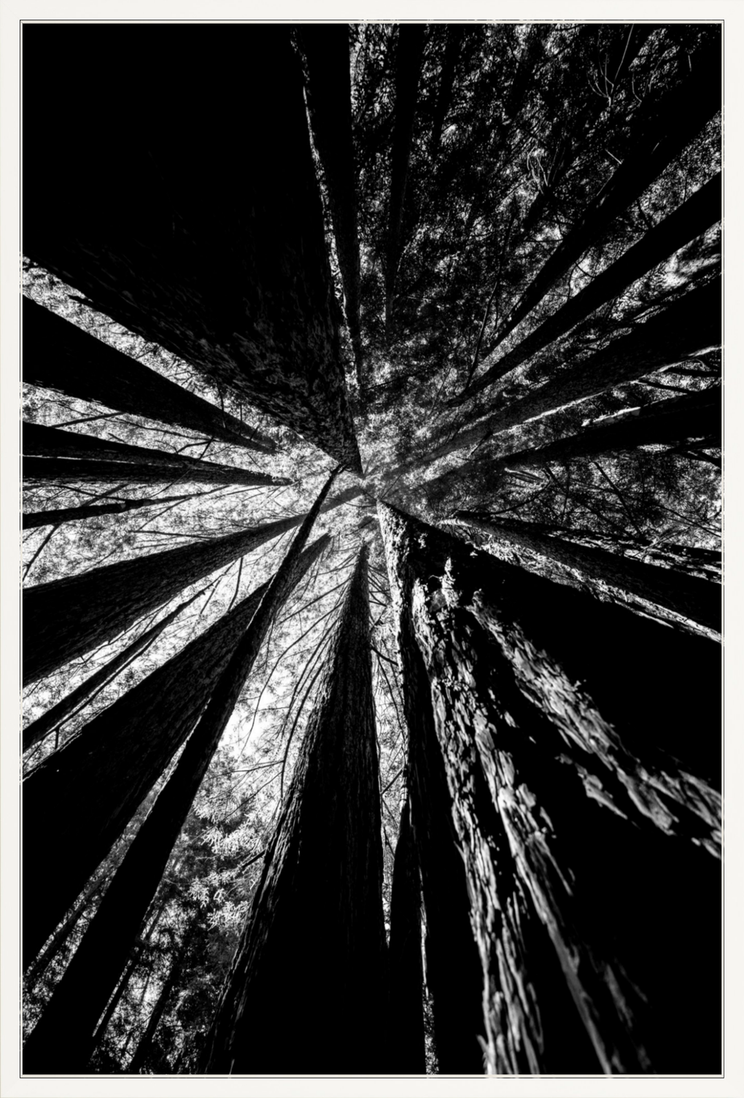 Reaching Giants