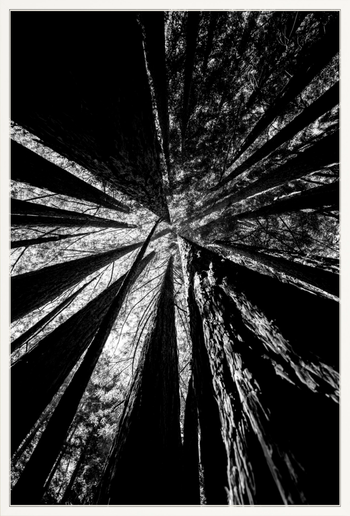 Reaching Giants