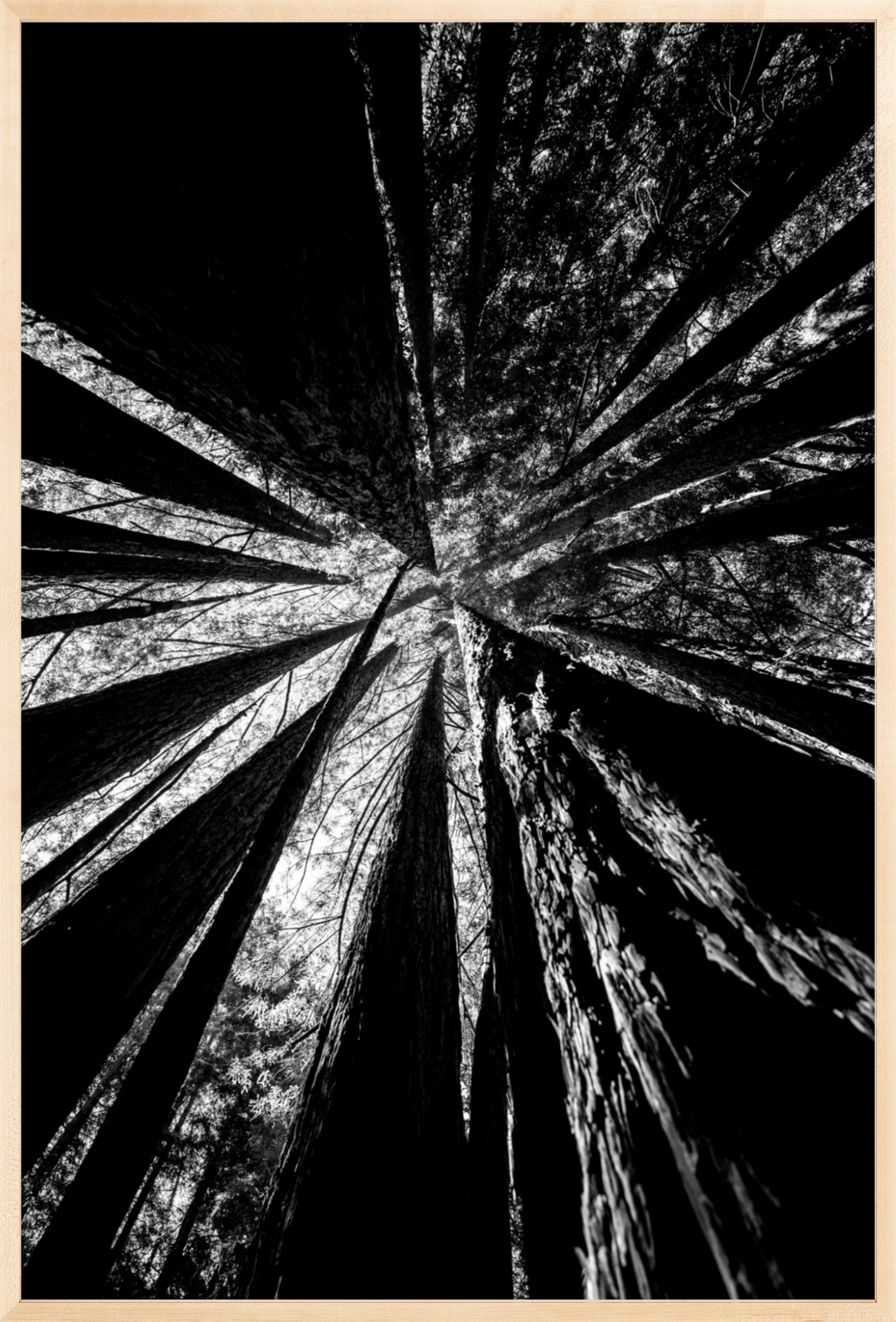 Reaching Giants