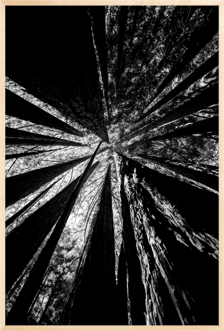 Reaching Giants