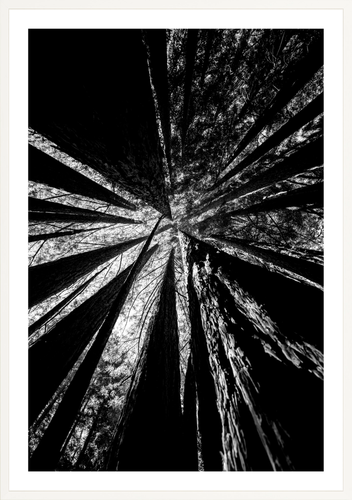 Reaching Giants