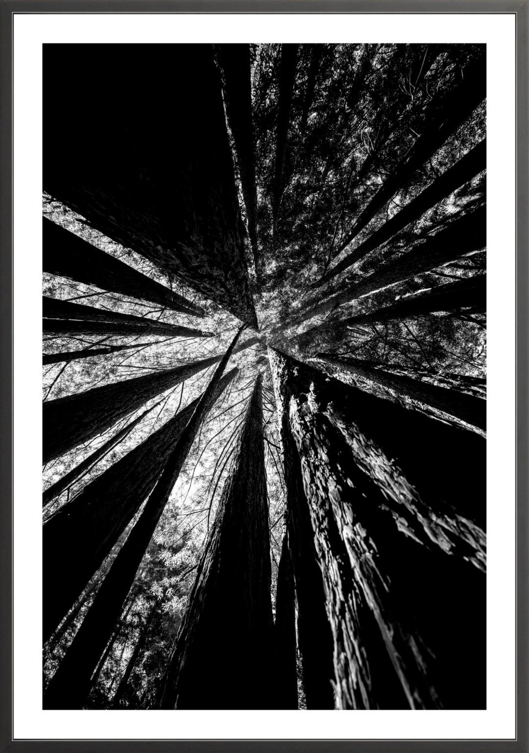 Reaching Giants