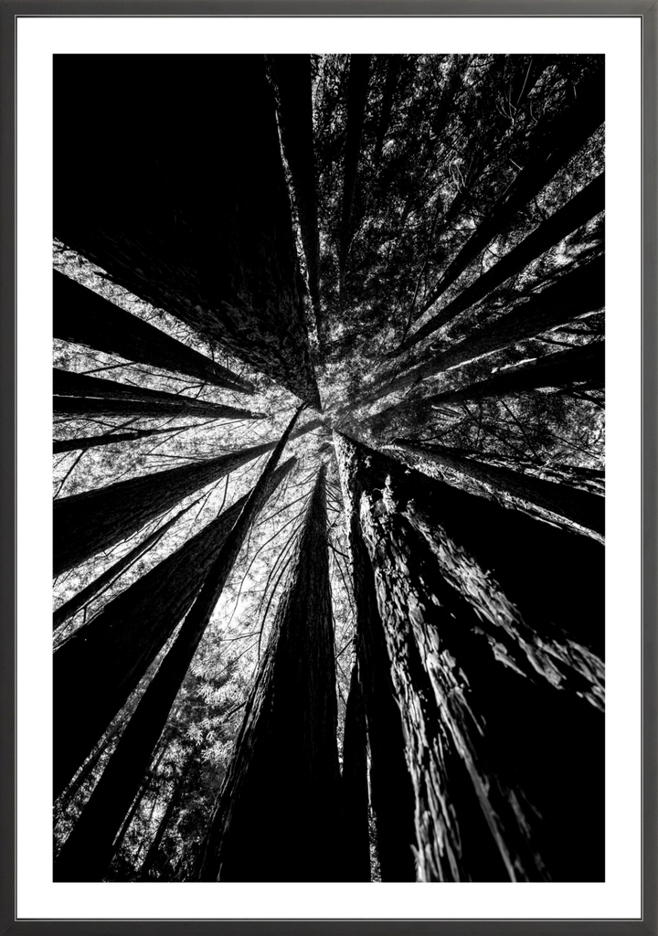 Reaching Giants
