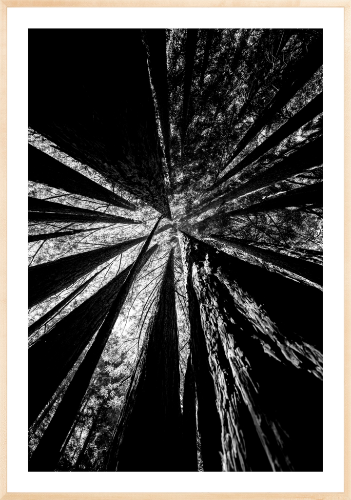 Reaching Giants
