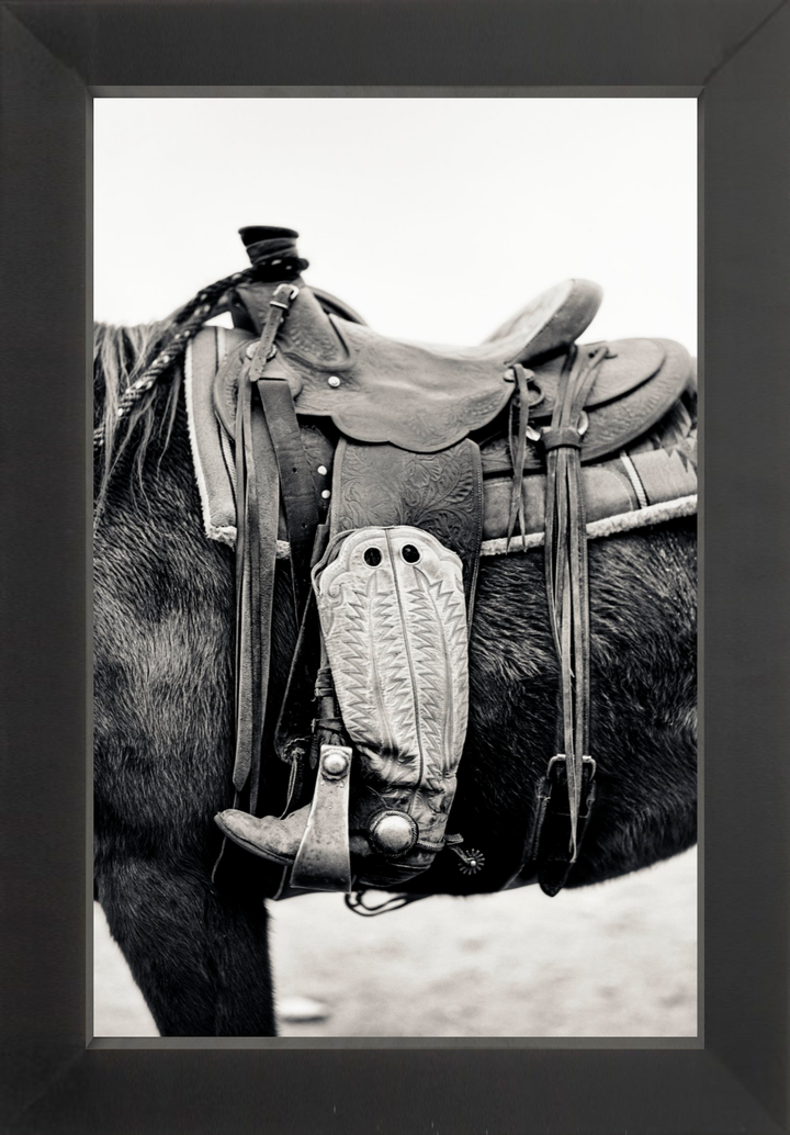 Silent Companion
