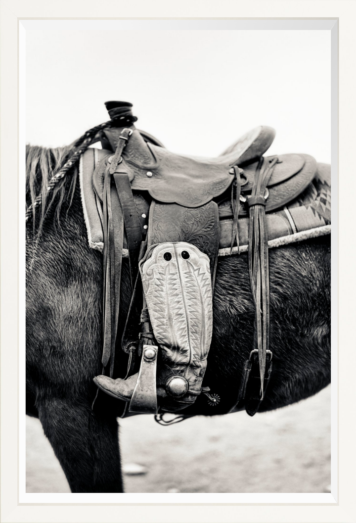 Silent Companion