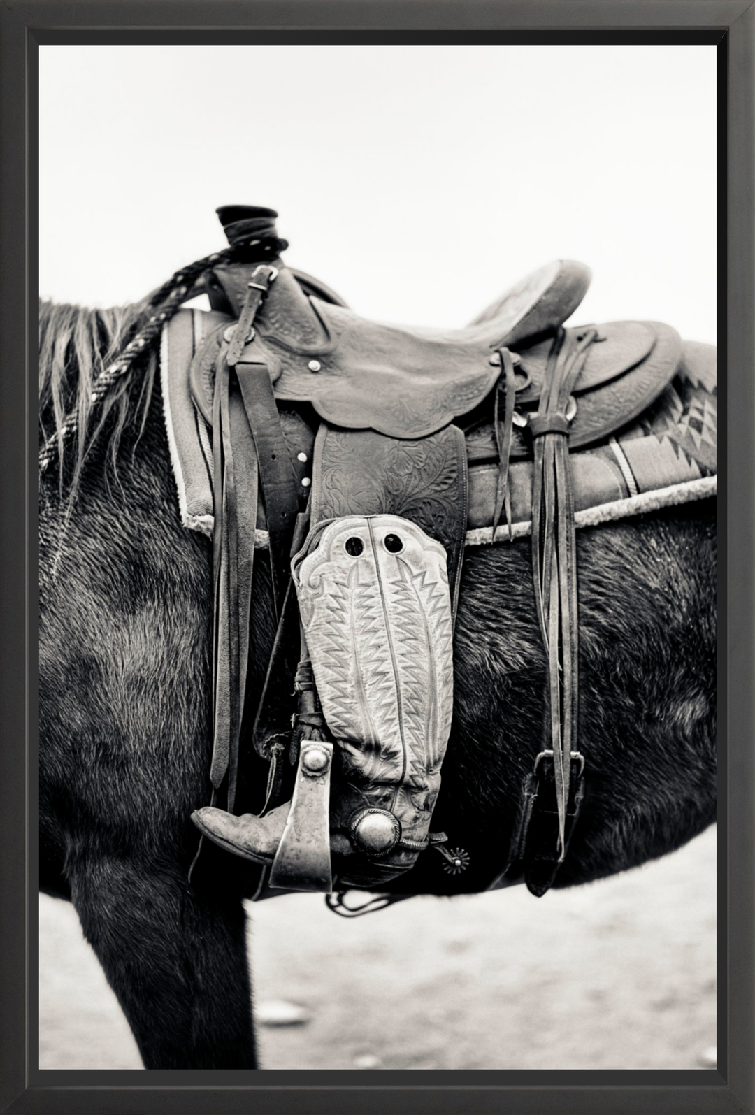 Silent Companion