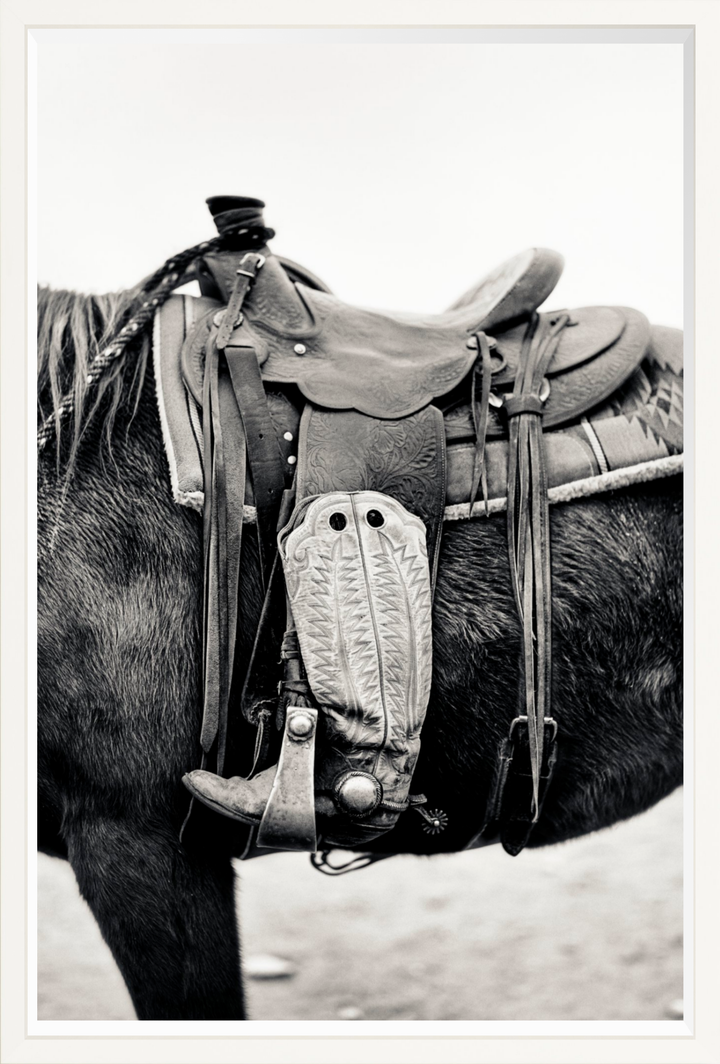 Silent Companion