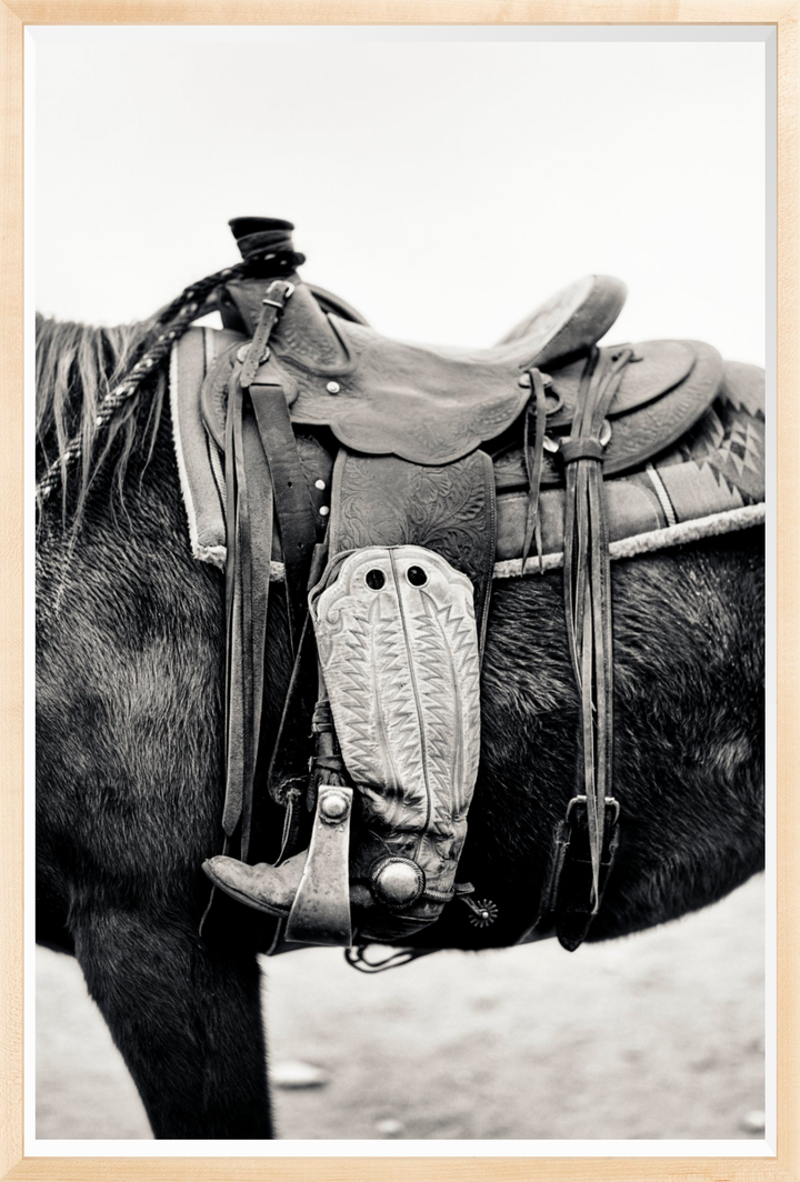 Silent Companion