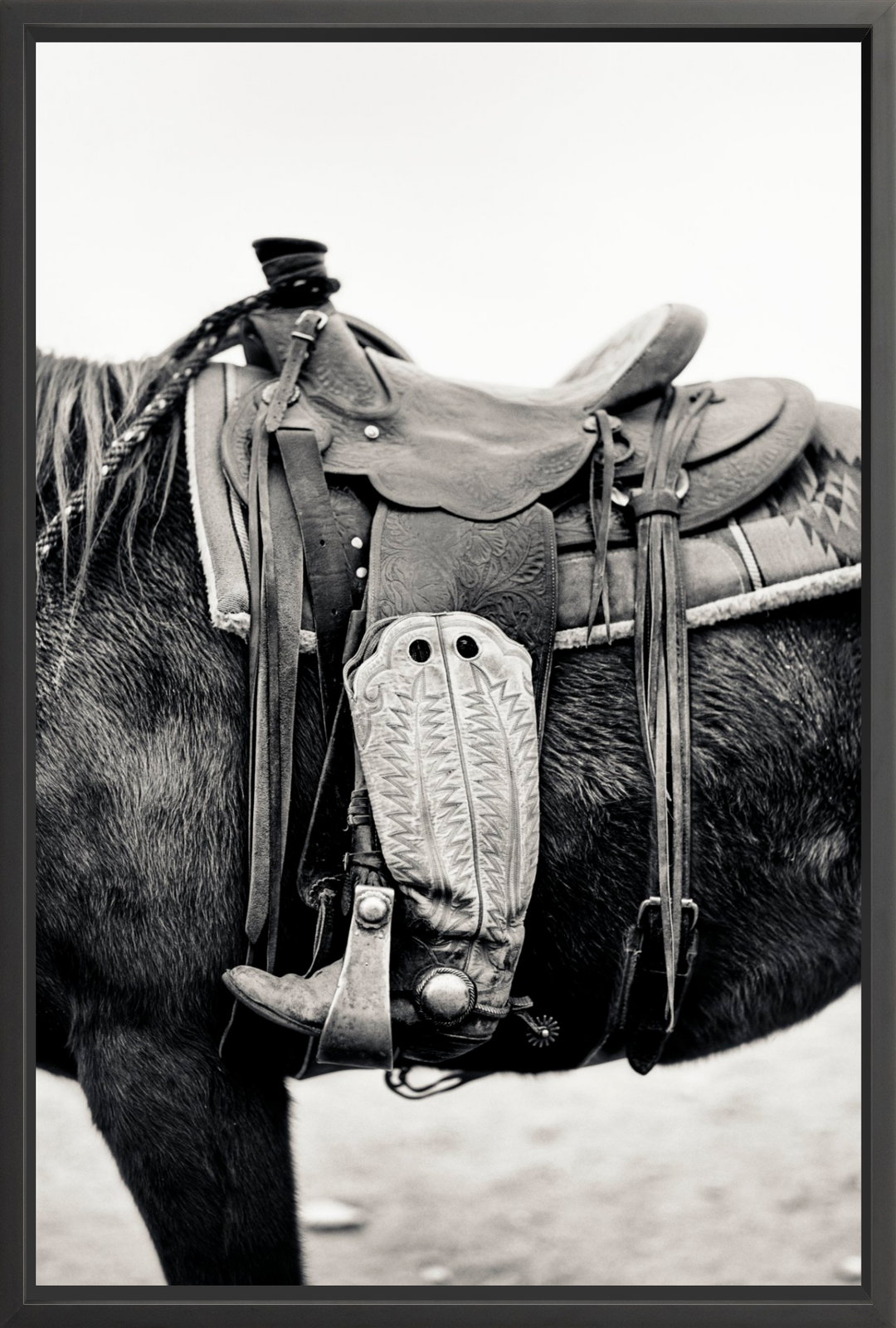 Silent Companion