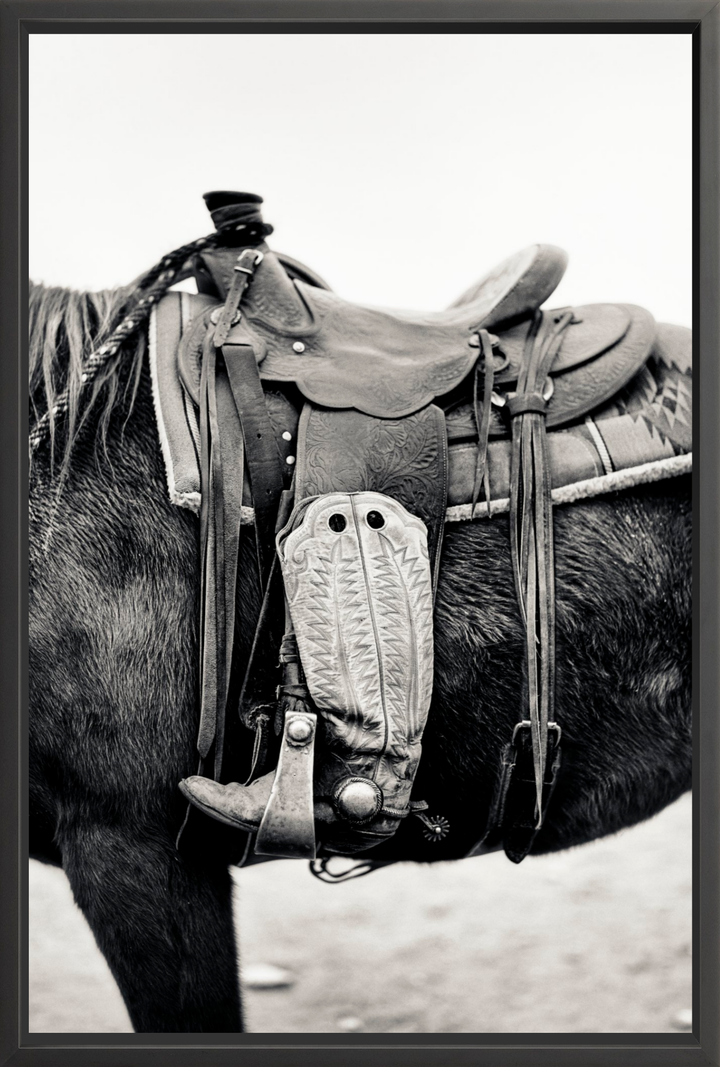 Silent Companion