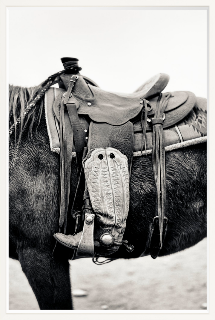 Silent Companion