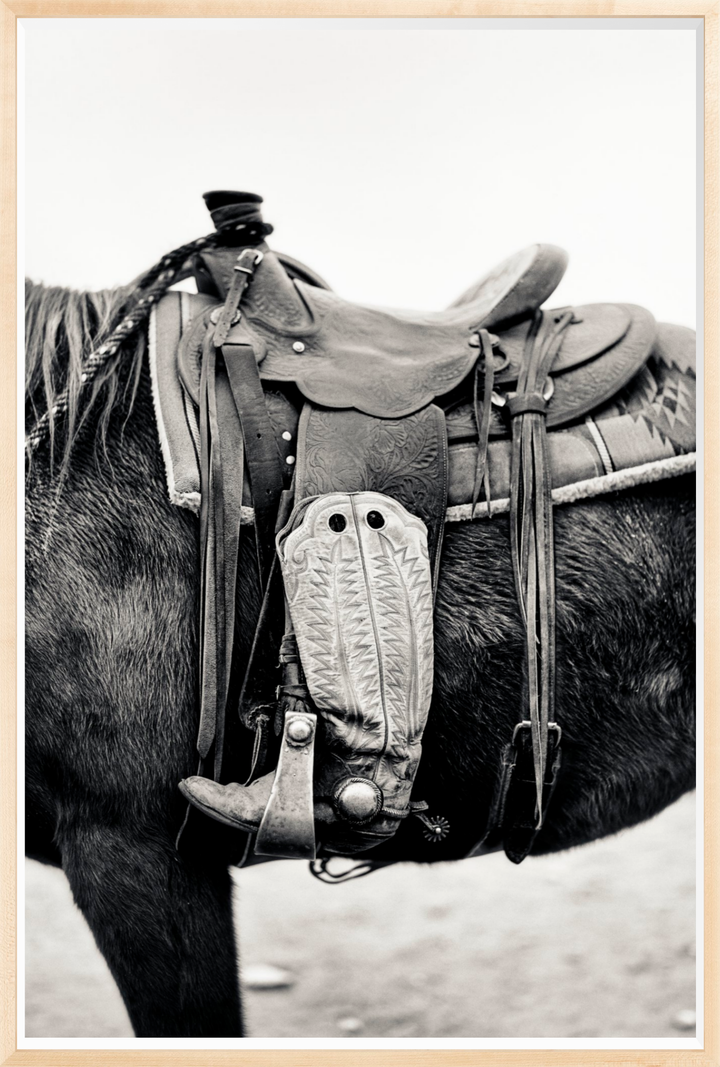 Silent Companion