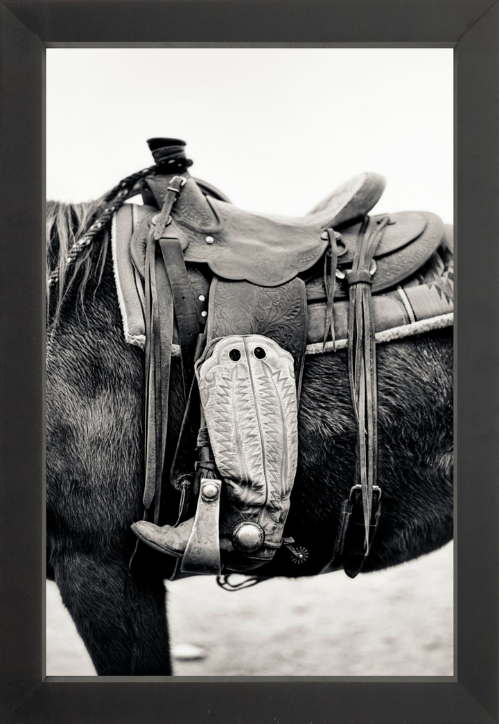 Silent Companion