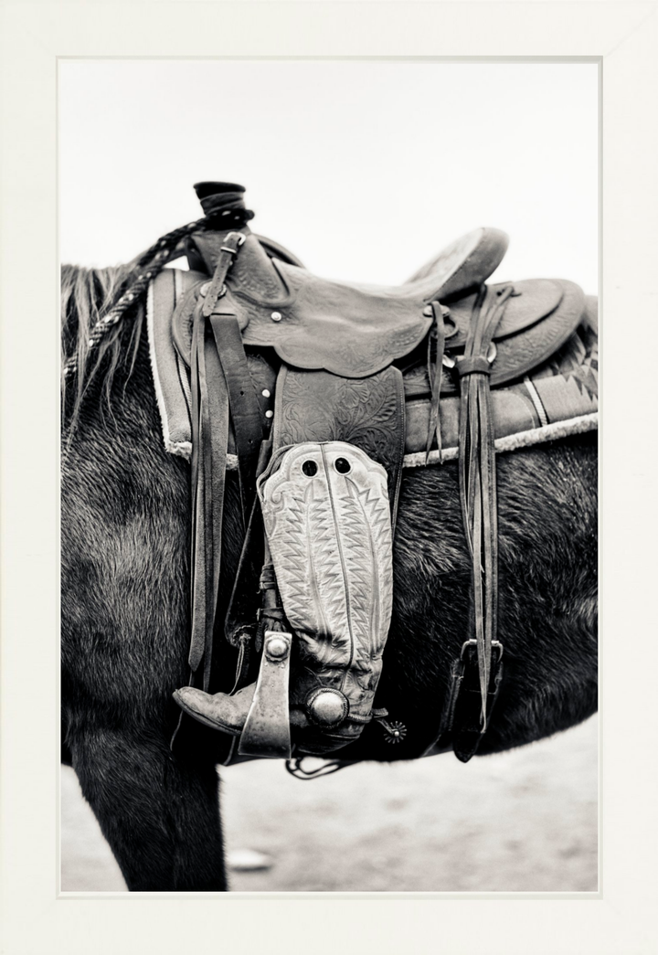 Silent Companion