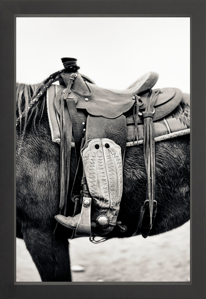 Silent Companion