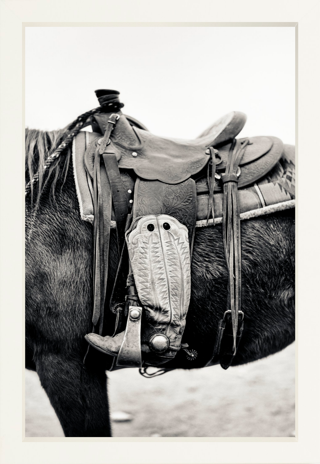 Silent Companion
