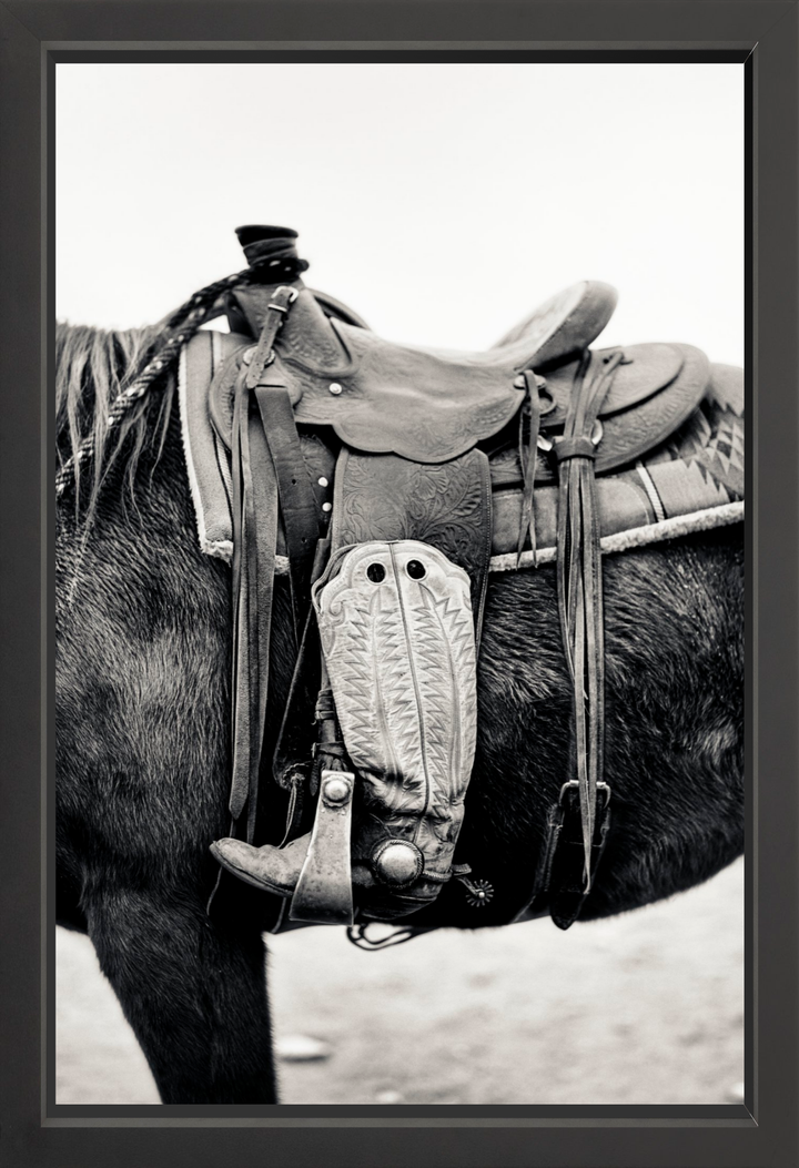 Silent Companion