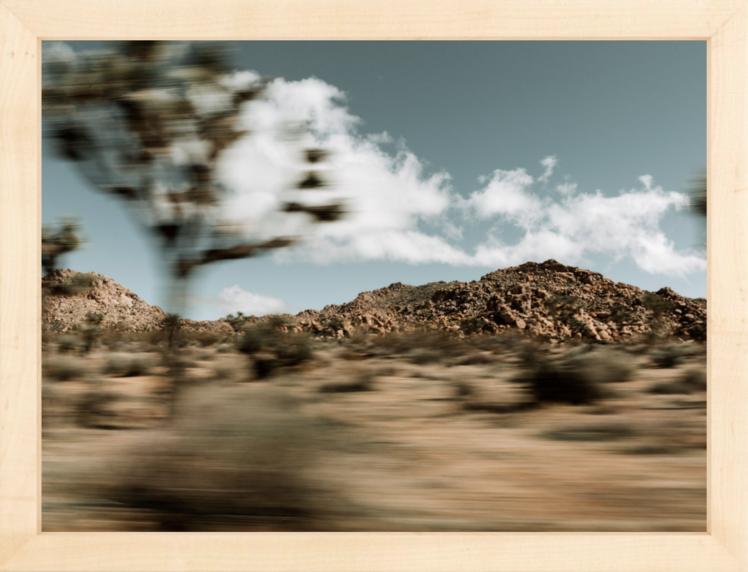 Mojave Blur